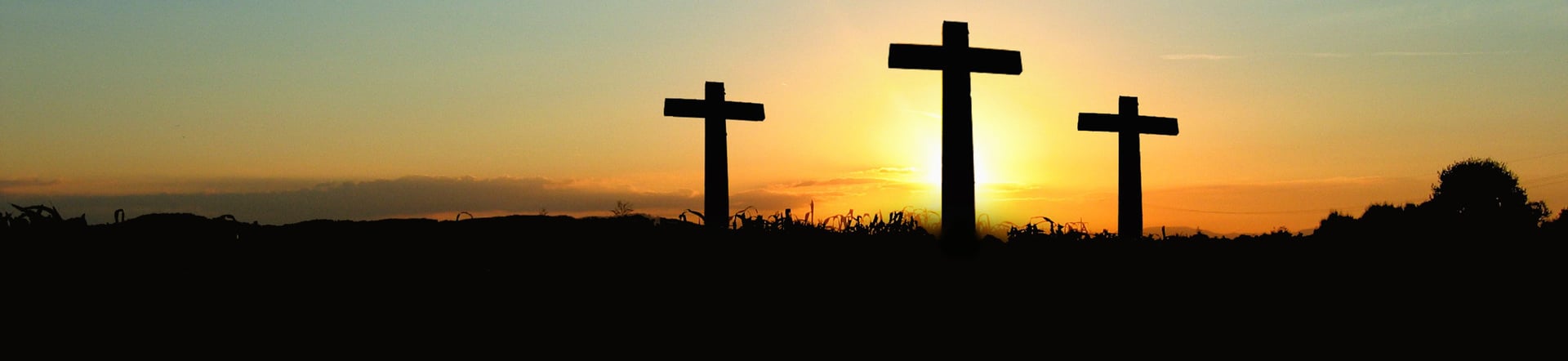 The Orange Catholic Foundation
